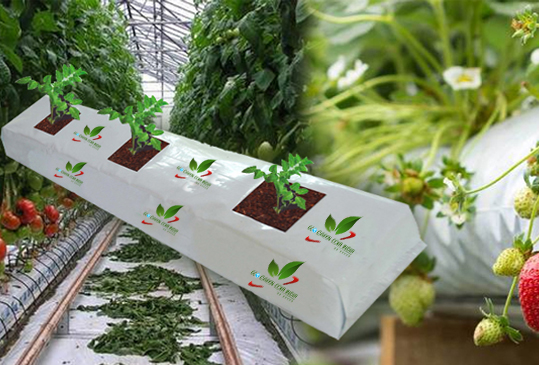 Greenhouse Cocopeat Grow Bag Tomato Hydroponics System Substrate Coco Peat  - China Cocopeat Grow Bag, Hydroponic Cocopeat | Made-in-China.com